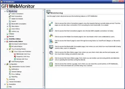 GFI WebMonitor 2009.20100324 x86/x64