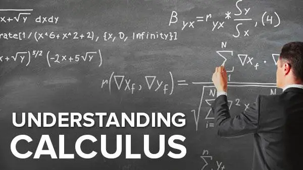 We understood the problems. Calculus problems. Calculus student u doski.