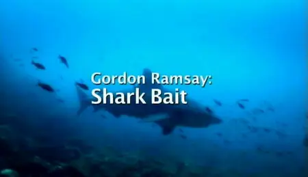 Channel 4 - Gordon Ramsay: Shark Bait (2011)