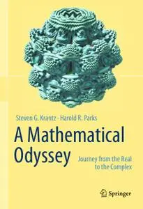 A Mathematical Odyssey: Journey from the Real to the Complex (Repost)