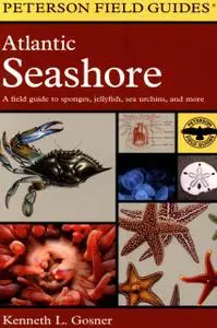 A Field Guide to the Atlantic Seashore