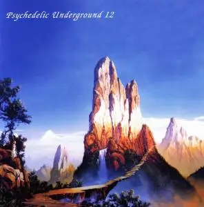 V.A. - Psychedelic Underground 11-17 (2005-2013)