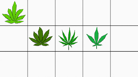 Going to Pot: The Highs and Lows of It (2021)