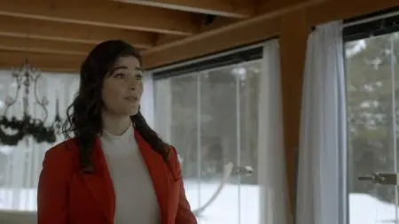 One Snowy Christmas / A Snowy Christmas (2021)