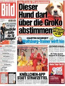 Bild Münster - 20. Februar 2018