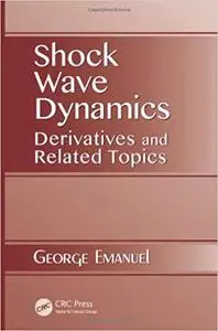 Shock Wave Dynamics: Derivatives and Related Topics