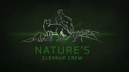 CBC - The Nature of Things: Nature's Cleanup Crew (2020)