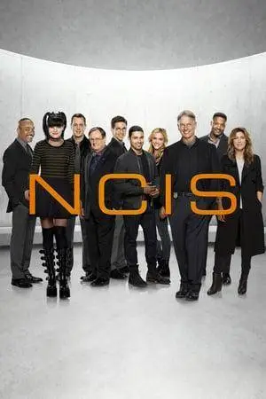 NCIS - Unità anticrimine S15E17