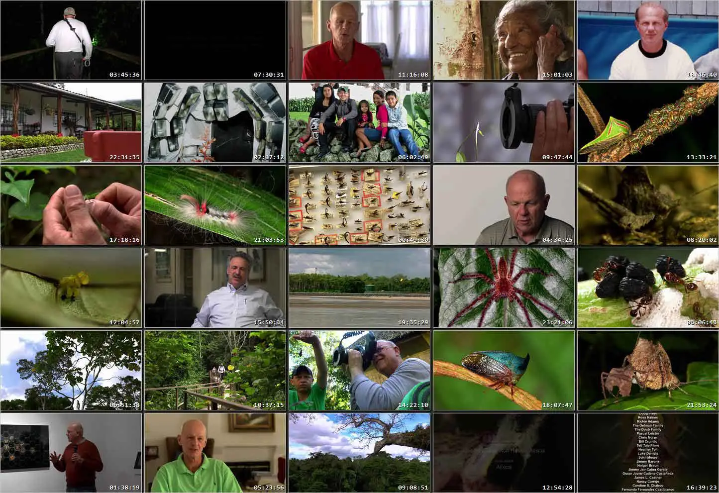 Learning to See: The World of Insects (2016)