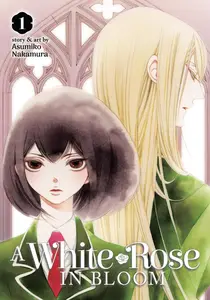 A White Rose in Bloom v01