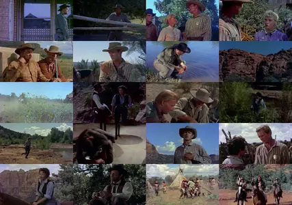 Shotgun (1955)