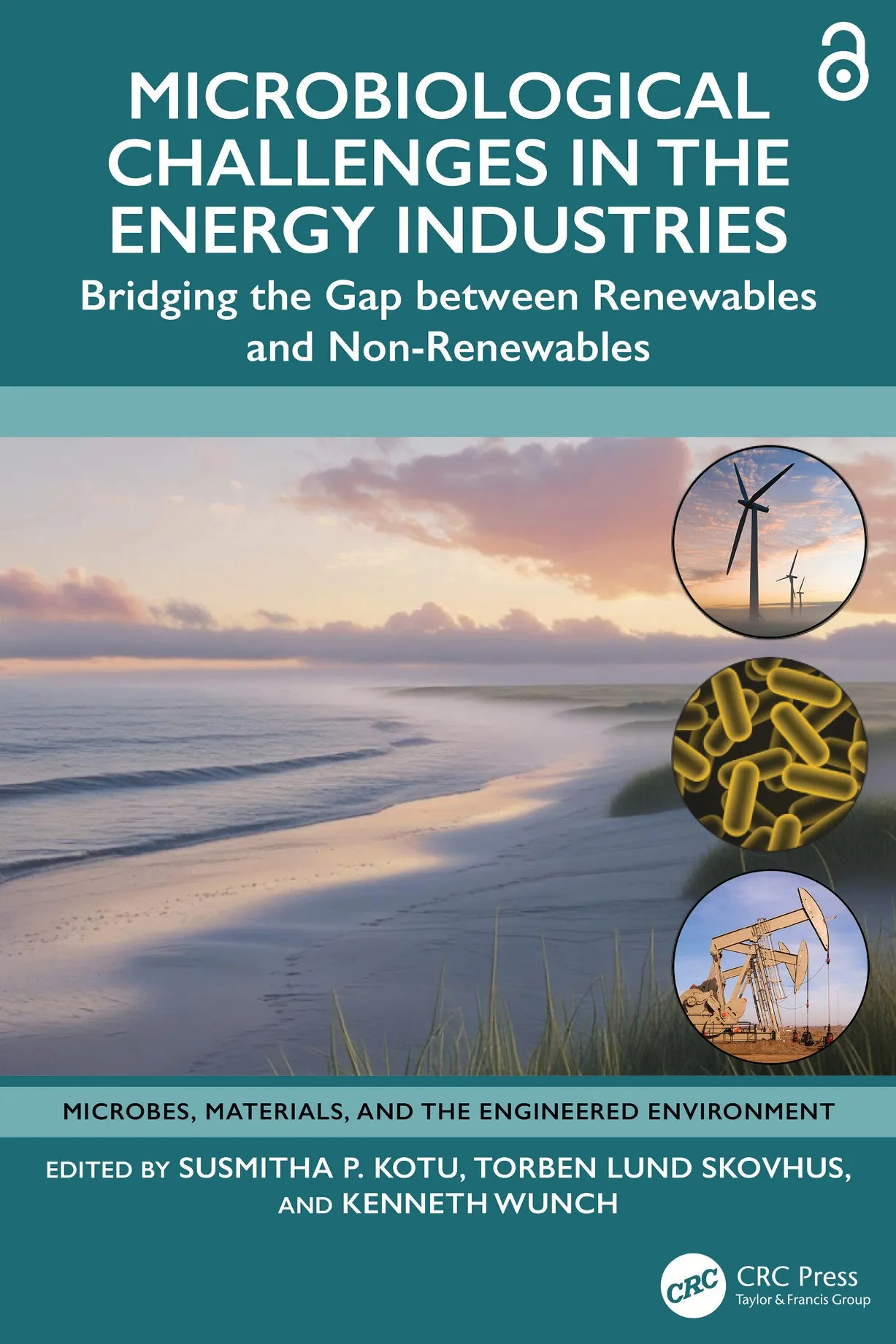 Microbiological Challenges in the Energy Industries: Bridging the Gap between Renewables and Non-...