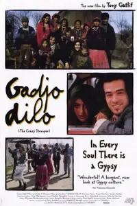 Gadjo dilo / The Crazy Stranger (1997)