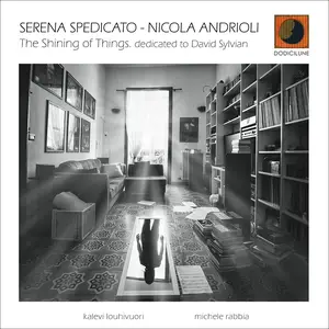 Serena Spedicato, Nicola Andrioli - The Shining of Things (Dedicated to David Sylvian) (2019) [Official Digital Download 24/96]