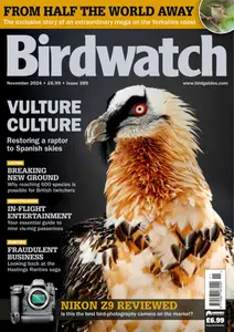 Birdwatch UK - November 2024