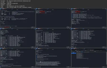 Penetration Testing mit Metasploit