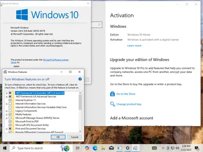 Windows 10 22H2 build 19045.5674 AIO 16in1 (x64) Preactivated March 2025