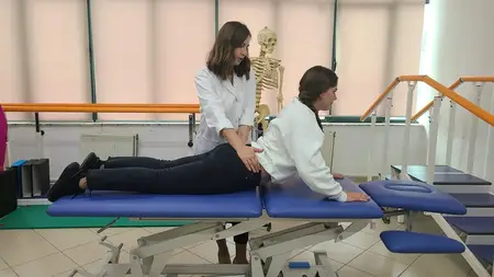 Rehabilitation of Low Back Pain