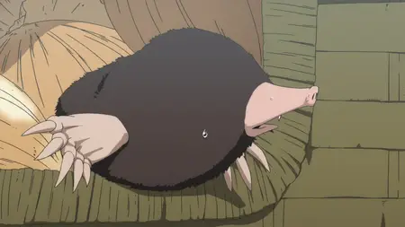 To Your Eternity (2021 S01E20 Echoes Vodes