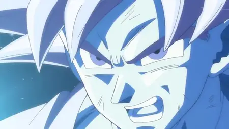 Dragon Ball Super 013