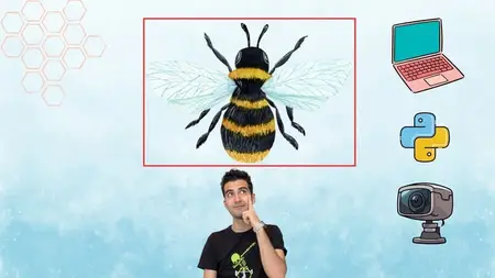 Bee Detection with Computer Vision and Python