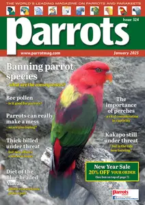 Parrots - January 2025