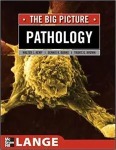 Pathology: The Big Picture (Repost)