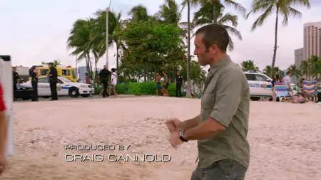 Hawaii Five-0 S08E25