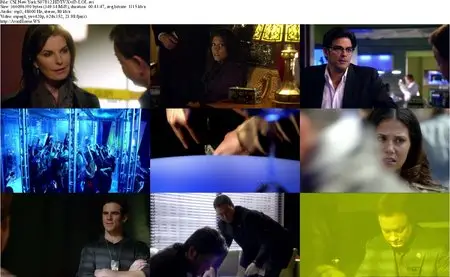 CSI: NY S07E12