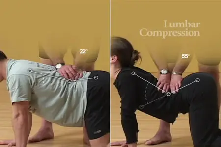 Anatomy for Yoga with Paul Grilley (2003)