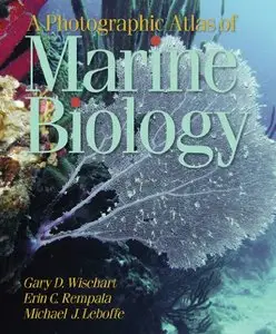 A Photographic Atlas of Marine Biology (repost)