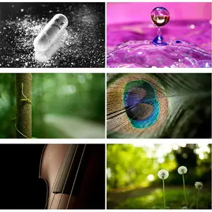 Wallpapers Macro. Set 19