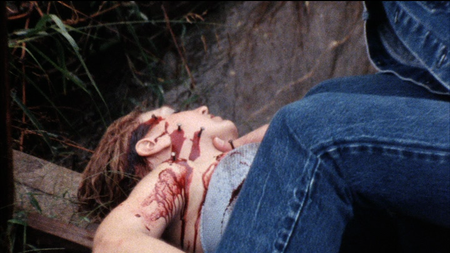 The Nail Gun Massacre (1985) 