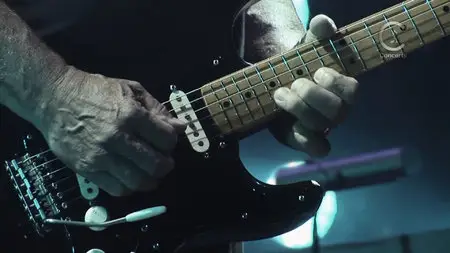 David Gilmour - Live In Gdansk 2006 [HDTV 1080i]