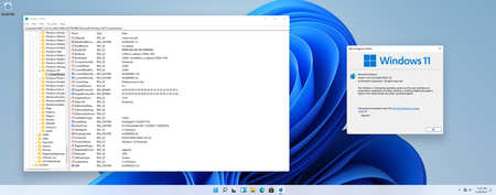 Windows 11 Version 21H2 Build 22000.51 Insider Preview