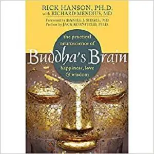 Buddha's Brain: The Practical Neuroscience of Happiness, Love, and Wisdom