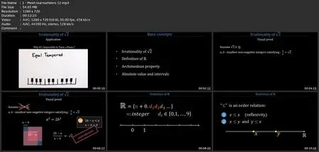 Visual Real Analysis : Real Numbers & Real Sequences