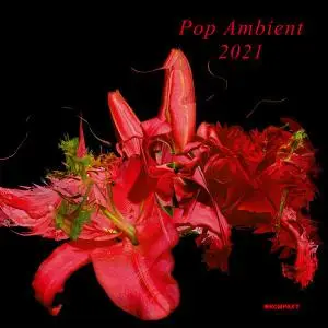 V.A. - Pop Ambient 2021 (2020)