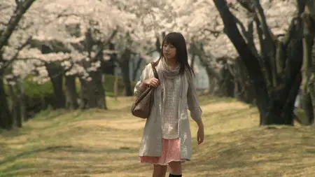 Time Traveller, The Girl Who Leapt Through Time (2010)
