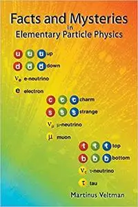 Facts and Mysteries in Elementary Particle Physics