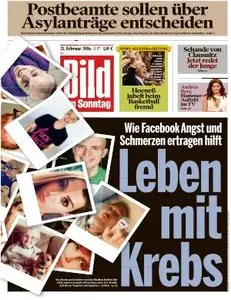 Bild am Sonntag - 21 Februar 2016