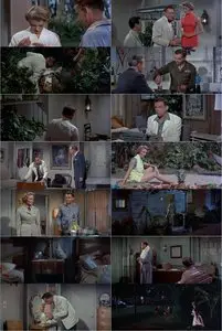 The Lieutenant Wore Skirts (1956)