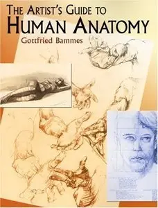 The Artist's Guide to Human Anatomy (repost)