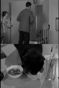 The Fat Black Pussycat (1963)