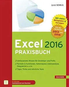 Excel 2016 Praxisbuch: Zahlen kalkulieren, analysieren und präsentieren (German Edition)