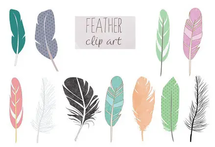 Feather Clip Art PNG