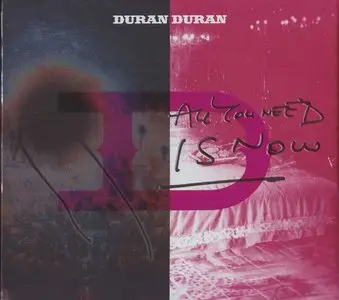 Duran Duran: Discography (1981-2011)