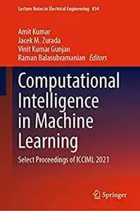 Computational Intelligence in Machine Learning
