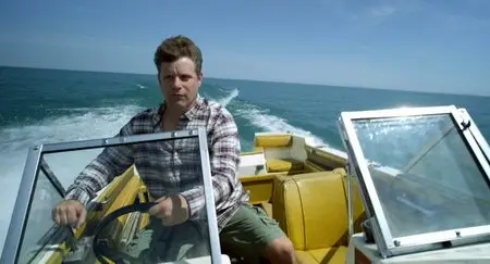 The Surface (2014)