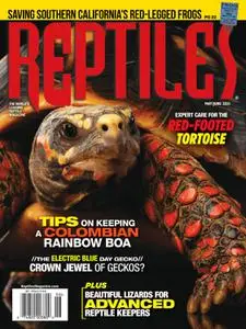 Reptiles - May-June 2021